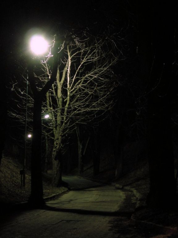 DSCN5757