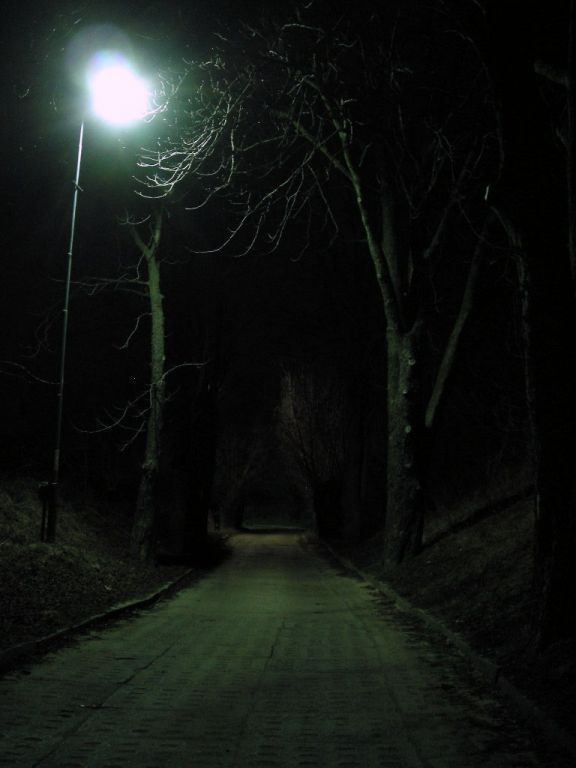 DSCN5758