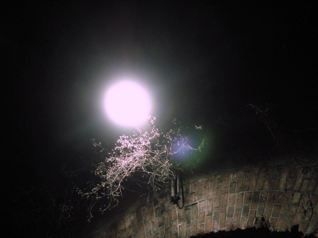 DSCN5761