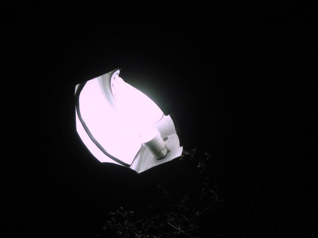 DSCN5763