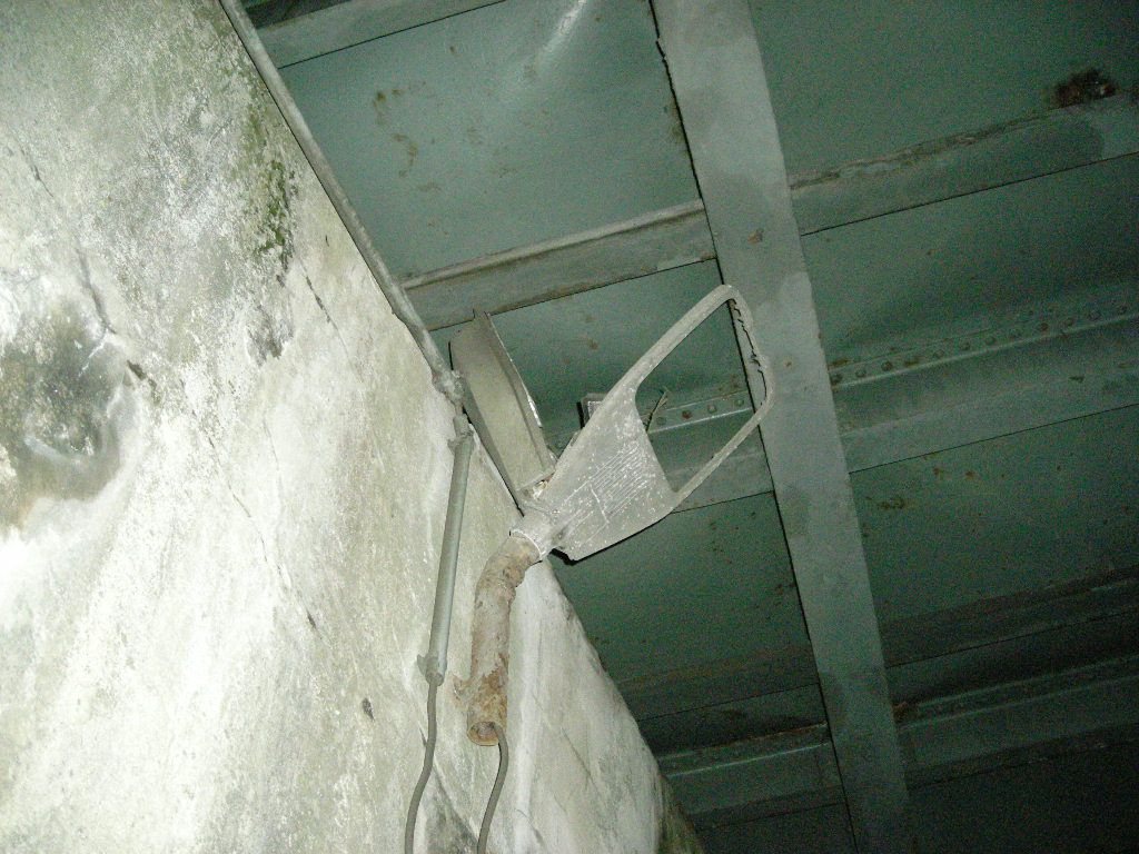 DSCN5767