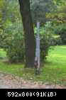 Park w Jarosławiu5