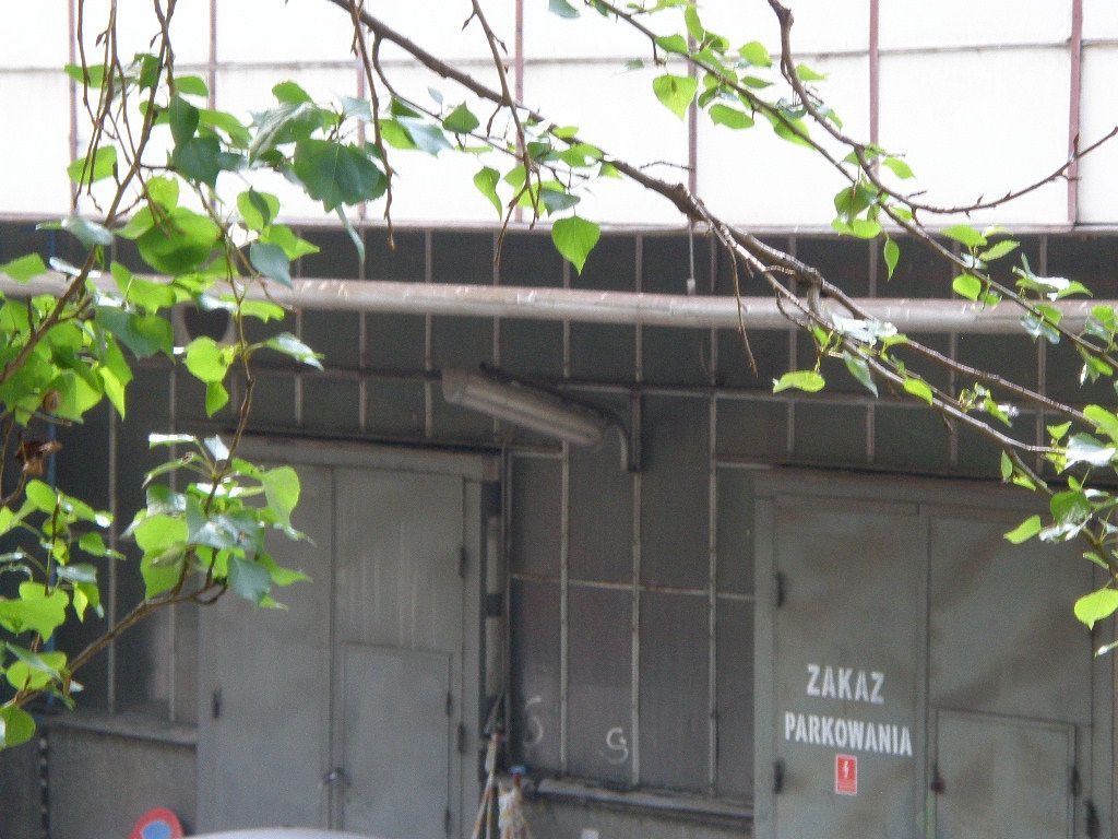 Starachowice (9)