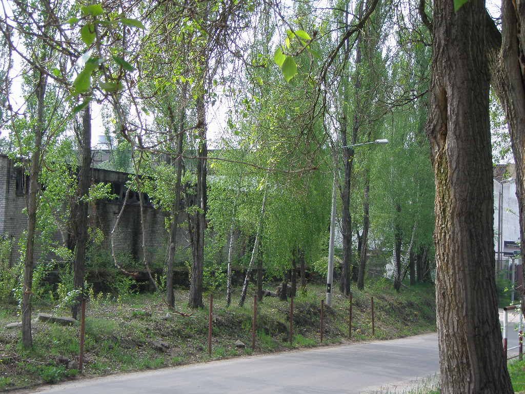 Starachowice (11)