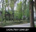 Starachowice (11)