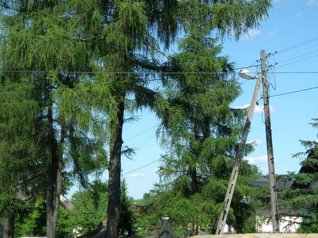 Św Katarzyna i okolica (32).