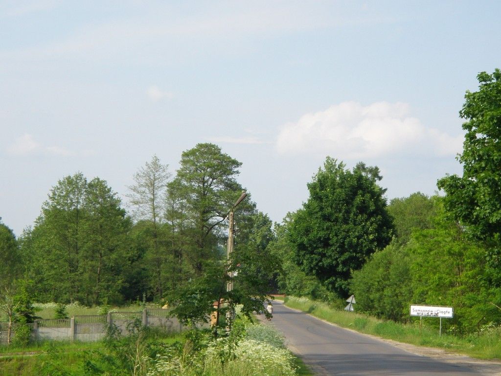 Zagnańsk-Samsonów (20).j