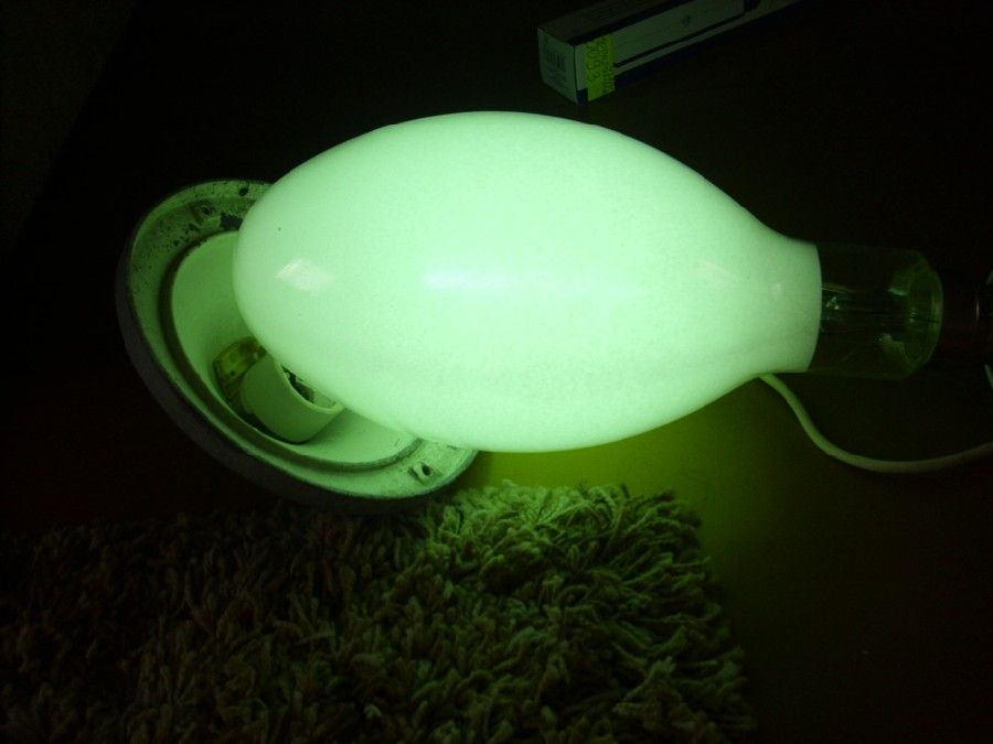 Mój LRF 1000W POLAMP w akcji ;)