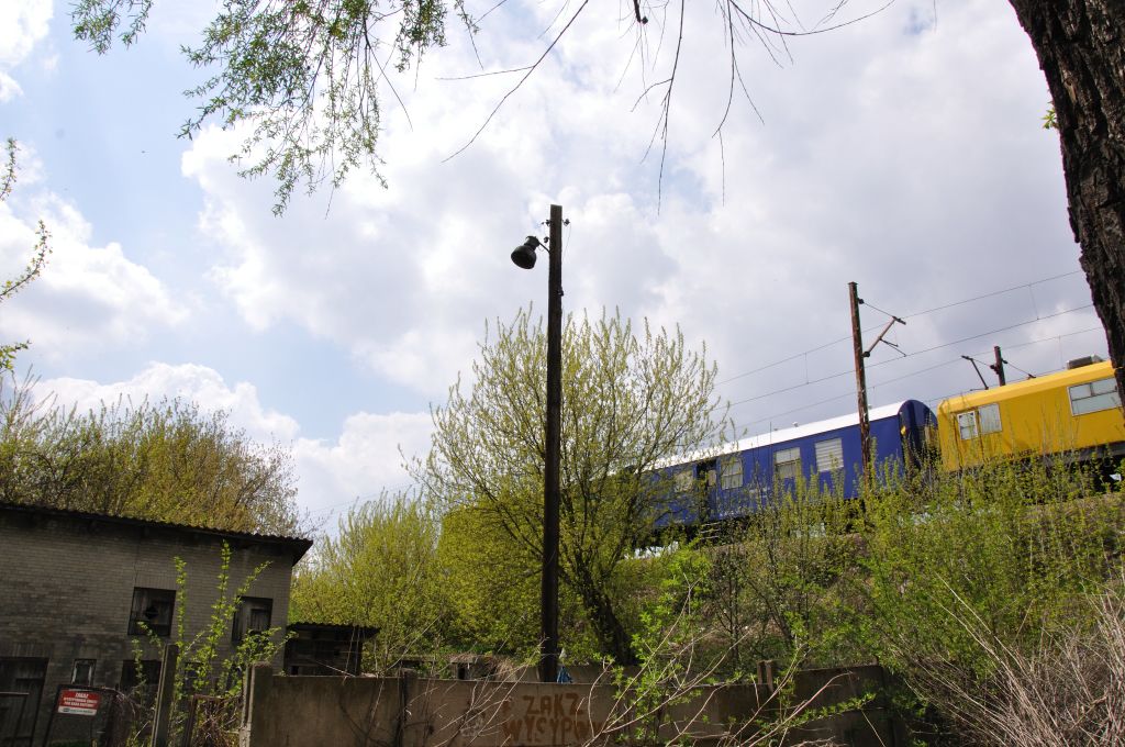 ORZ-1 (2)