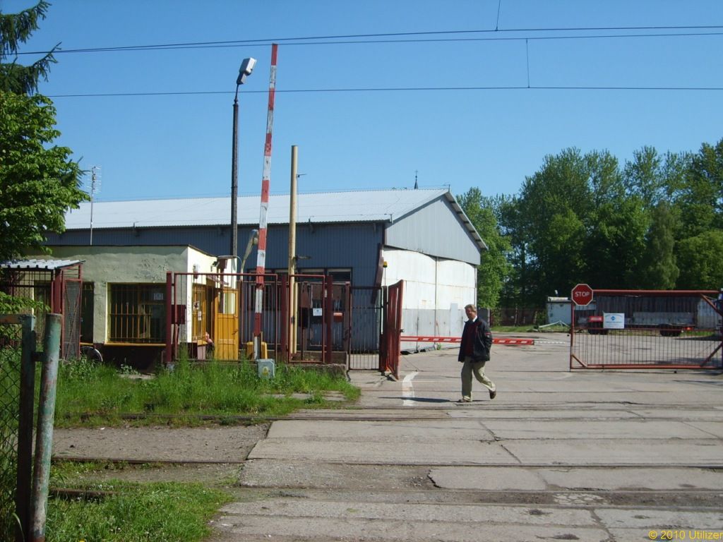 Ustka (2 porcja)