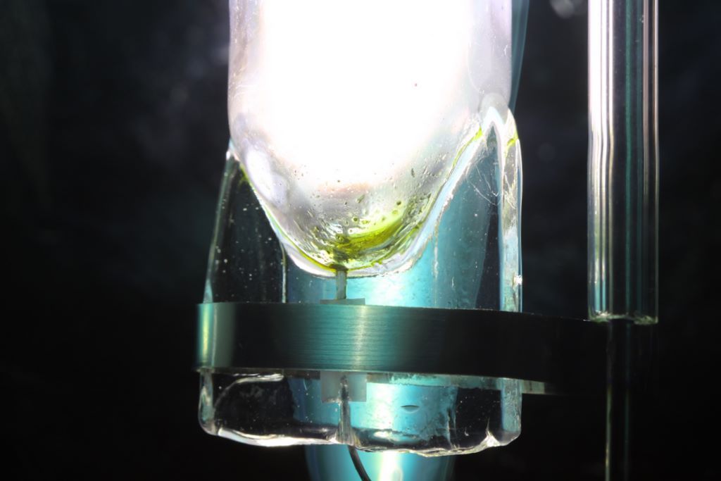 Lampy Whitesa