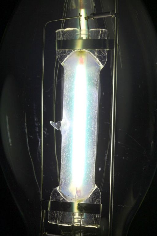 Lampy Whitesa