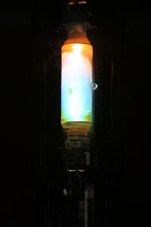 Lampy Whitesa