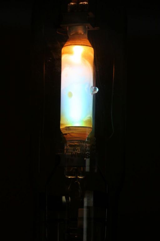 Lampy Whitesa