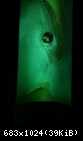 Lampy Whitesa