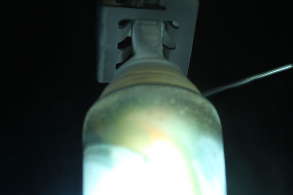 Lampy Whitesa