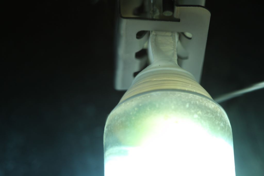 Lampy Whitesa