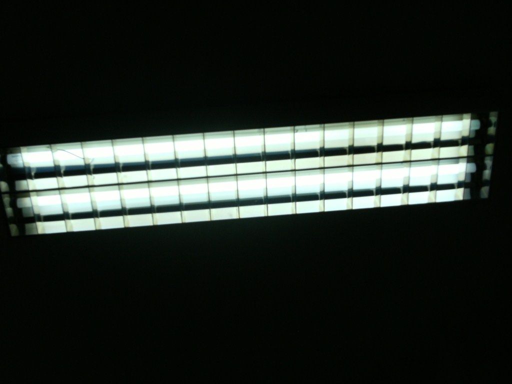 101