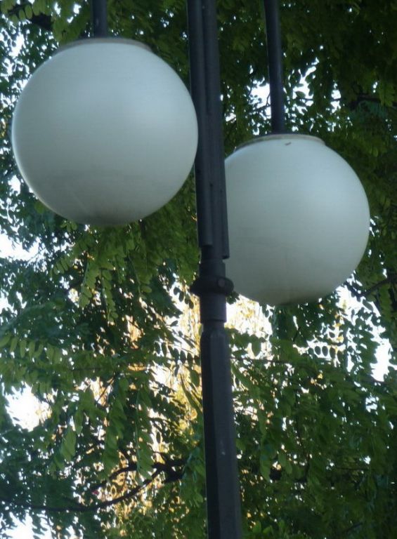 Foto 0105