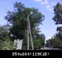 DSC00011