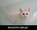 DSCN3834