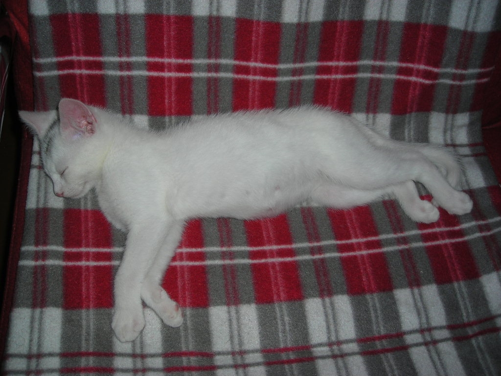 DSCN4114