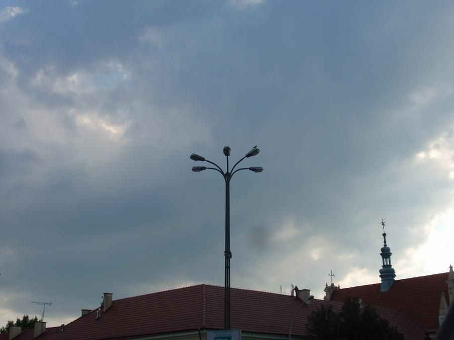 Kwiat opraw równierz w Rzeszowie.