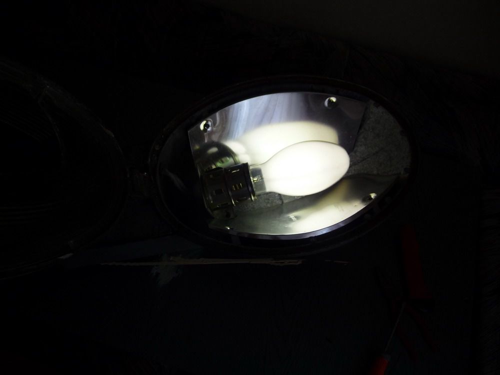 Foto 0019