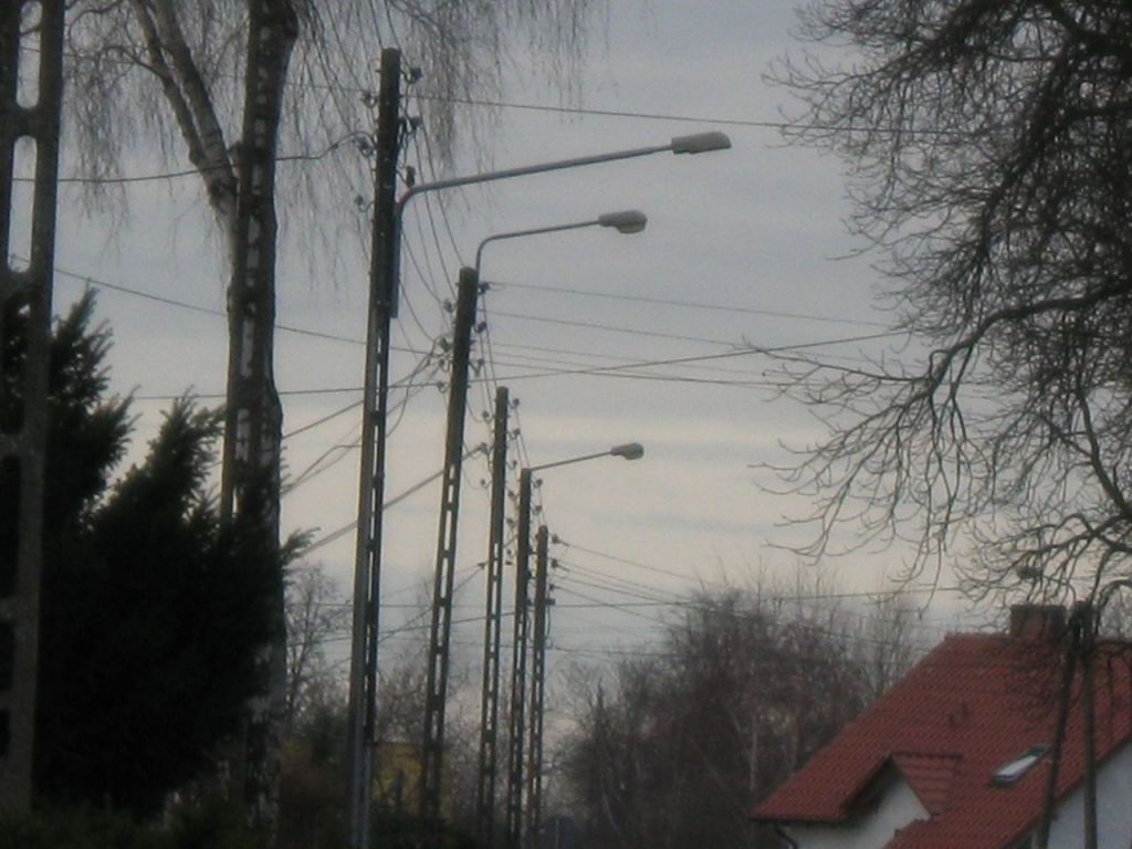Harcerska