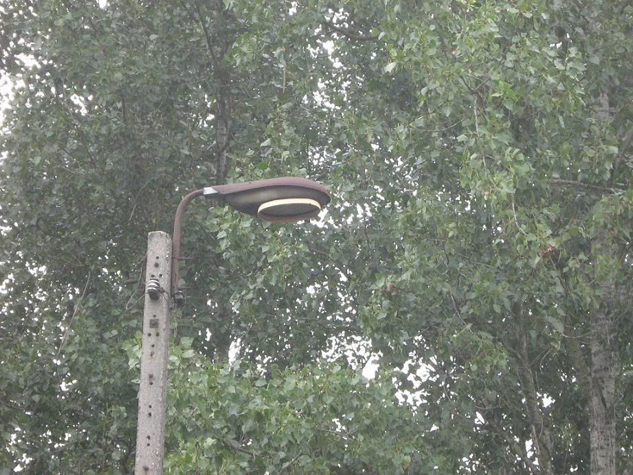 Łycha.
