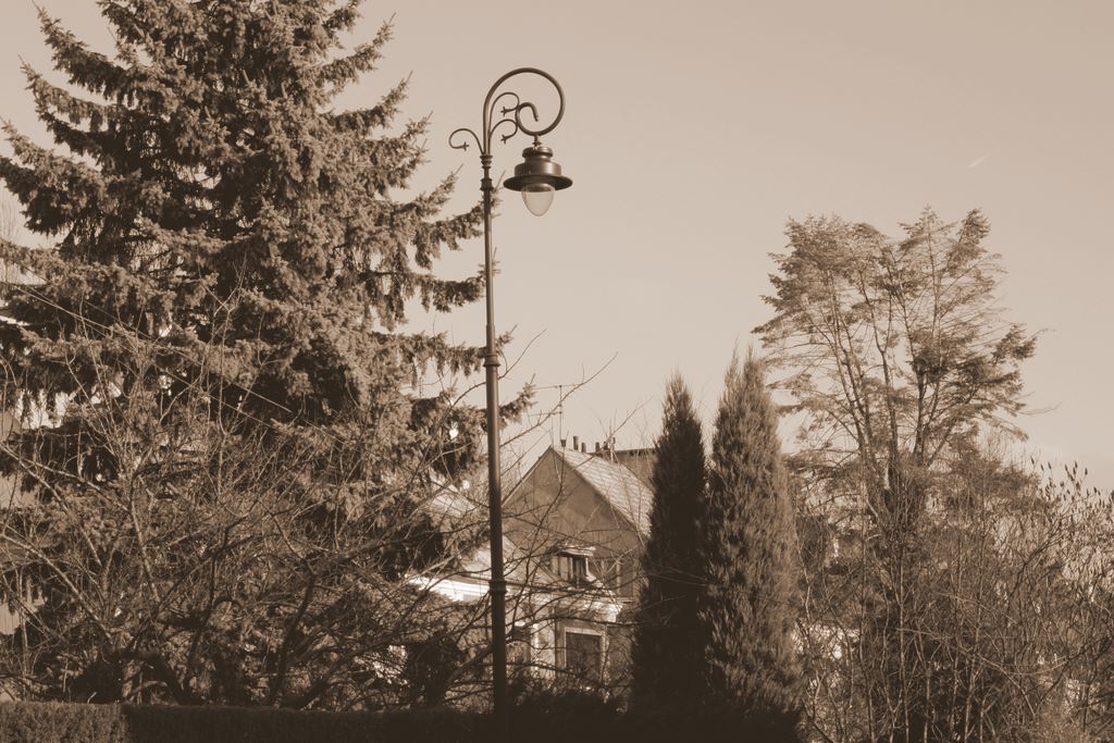 ul. gimnastyczna