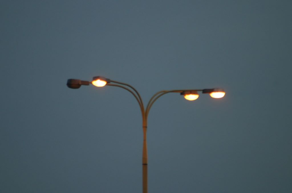 Szczecińskie kwiatki