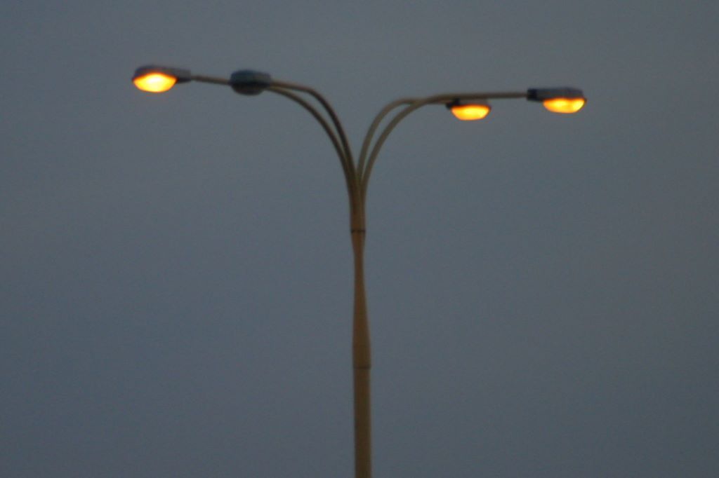 Szczecińskie kwiatki