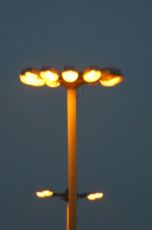 Szczecińskie kwiatki