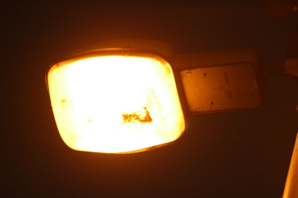 Szczecińskie kwiatki