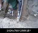DSC06725