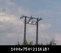 100 2703
