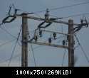 100 2705