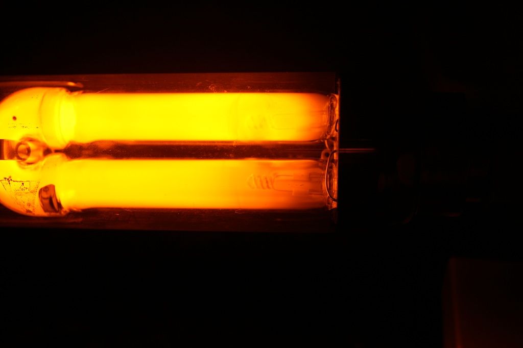 IMG 4295