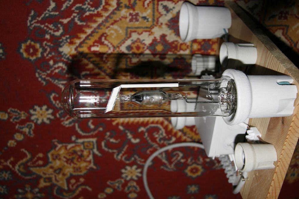  MG 8688