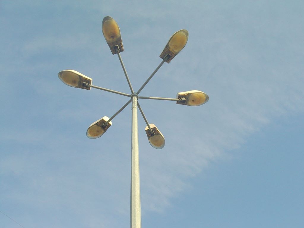 kwiatek malag