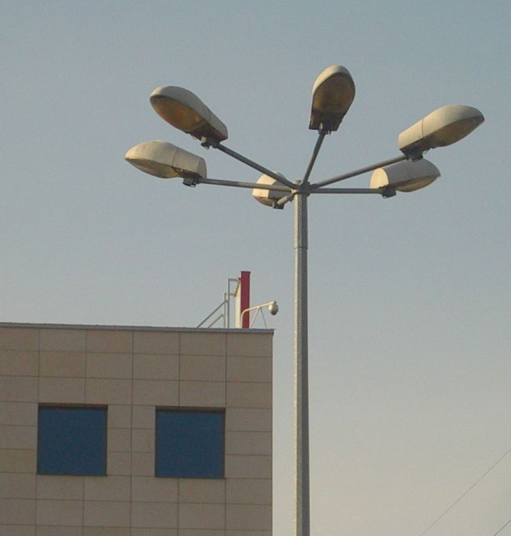 kwiatek malag