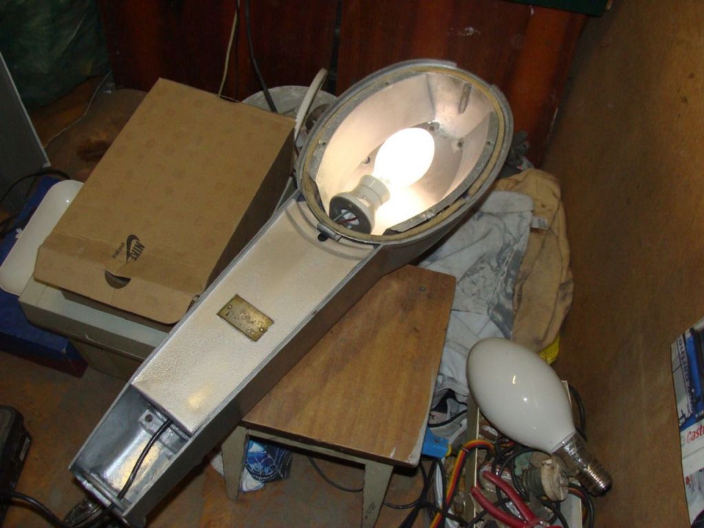 DSC07781
