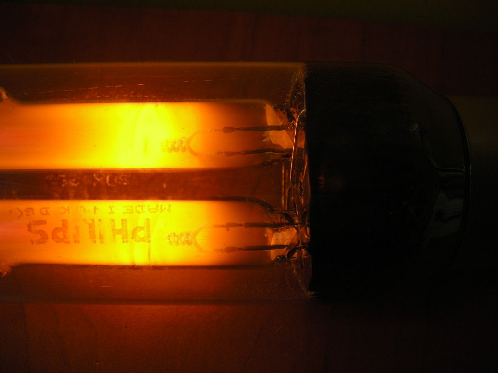 DSCN6069