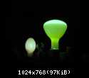 DSCN6387