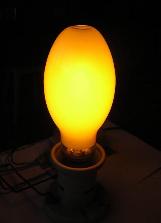 DSCN6437