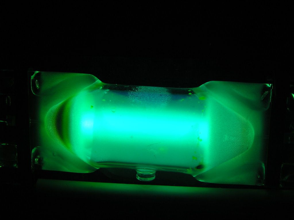 DSCN6834
