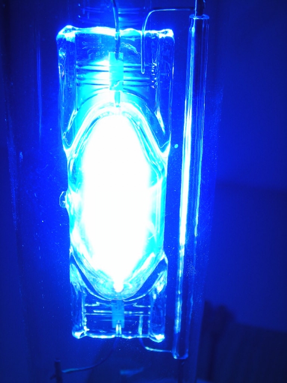 DSCN3973