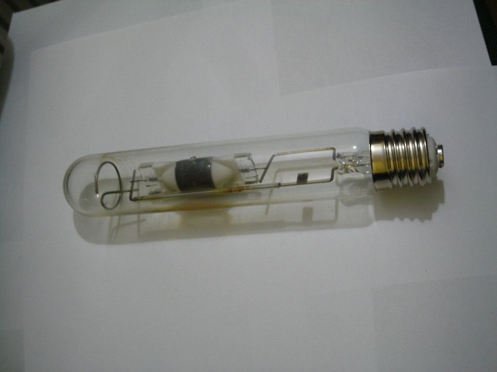 DSCN0352