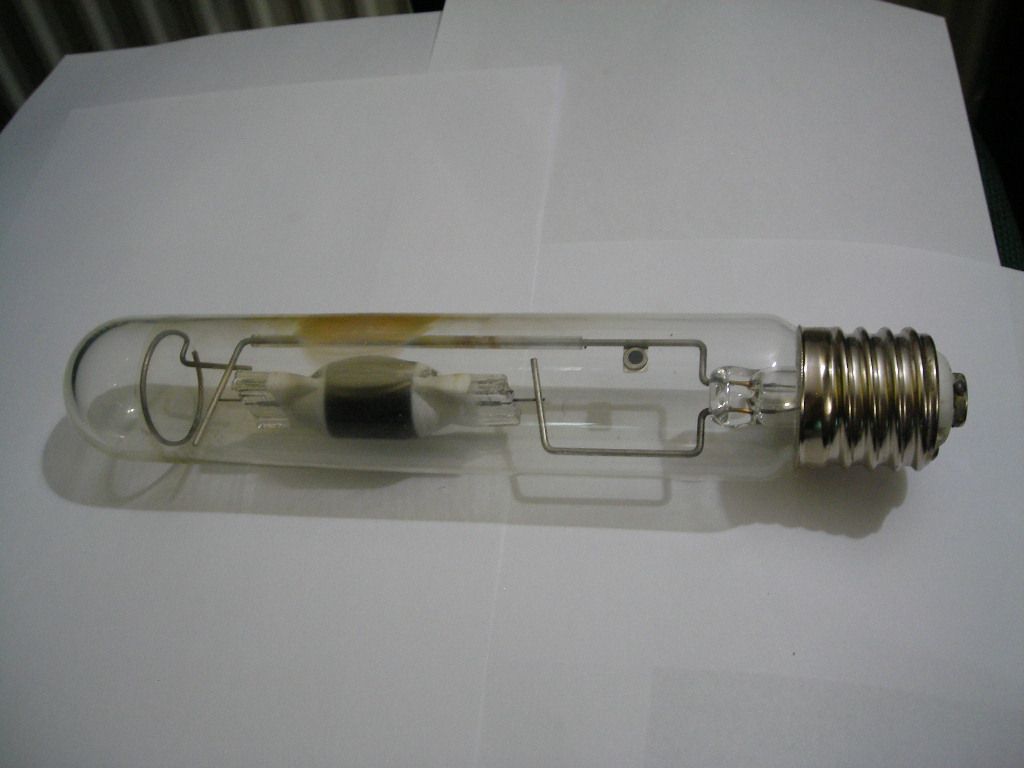 DSCN0356